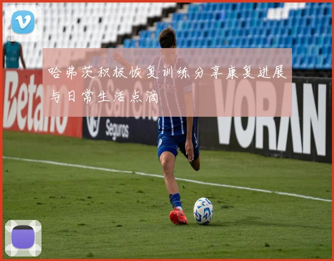 哈弗茨积极恢复训练分享康复进展与日常生活点滴
